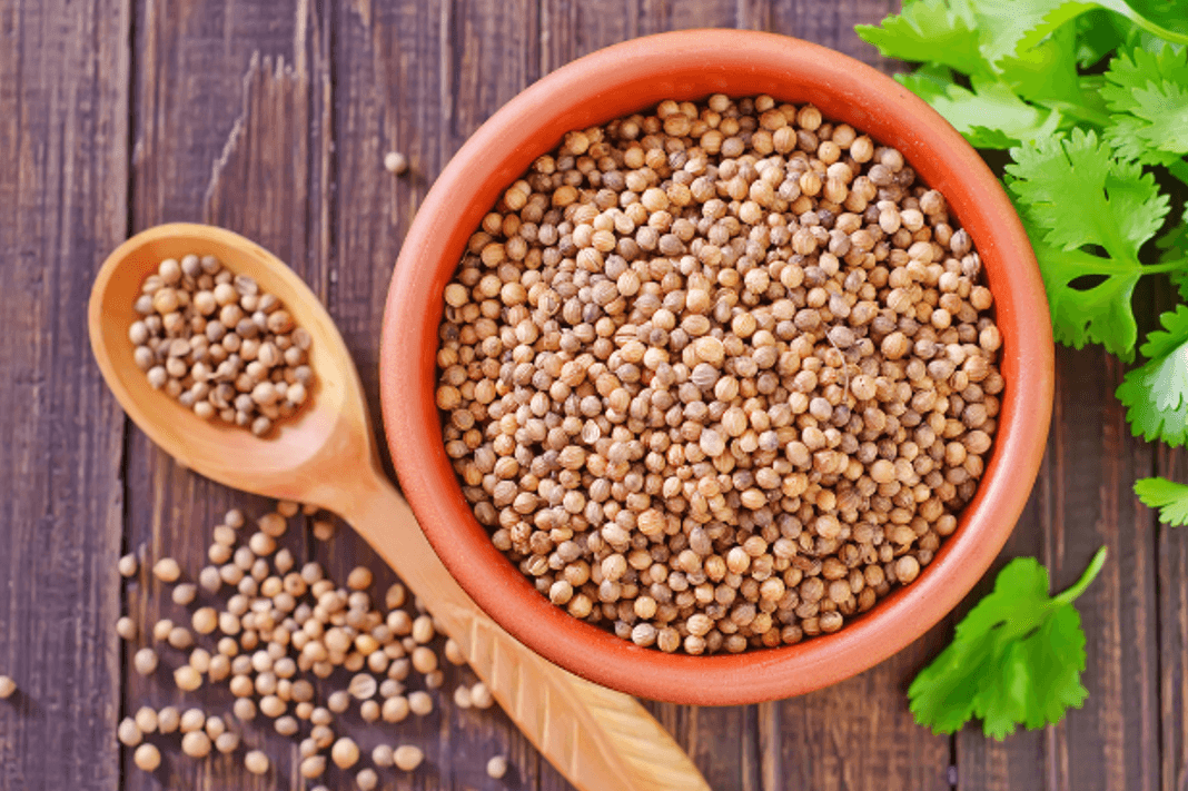 Multivariate Analysis of Coriander Seed Quality